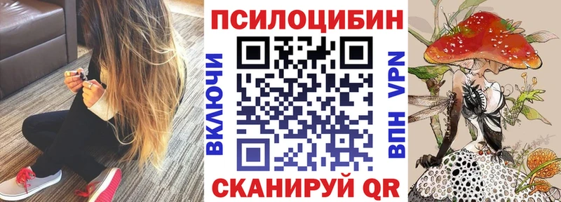 Псилоцибиновые грибы прущие грибы  закладки  нарко площадка наркотические препараты  Славск 