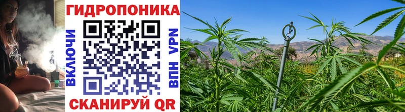 ОМГ ОМГ tor Славск Марихуана LSD WEED что такое