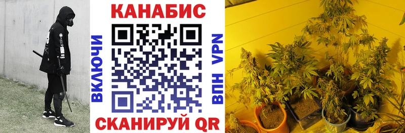 Бошки марихуана конопля Славск